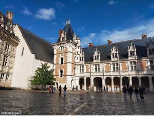 Ch\u00e2teau royal de Blois